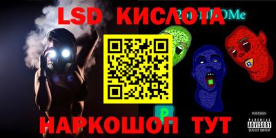 прущие грибы Абакан