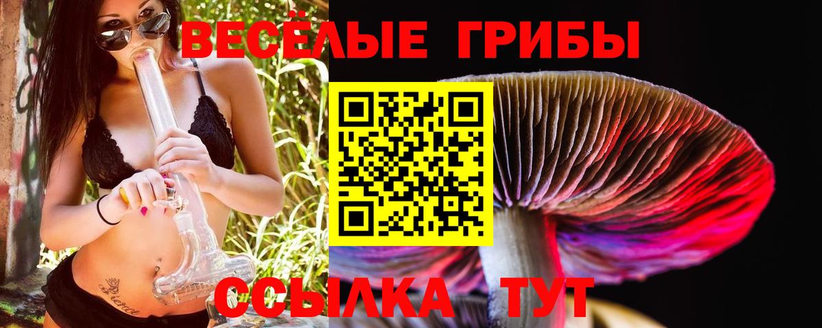 Псилоцибиновые грибы Psilocybe  Вход с VPN  Ангарск 