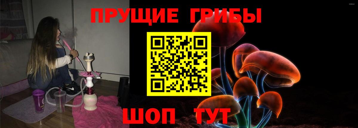 Псилоцибиновые грибы Psilocybe Ангарск